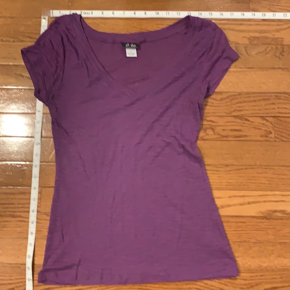 Unique tee with sheer zebra design. V-neck Tee in violet